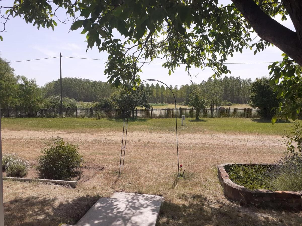 Camping Fantazia Tanya Szentkirály Екстериор снимка